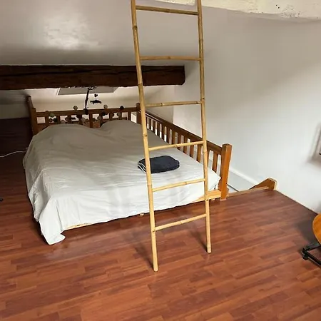 Duplex Quartier Historique Au Pied De La Bastille Apartament *