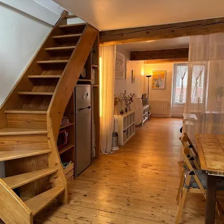 Duplex Quartier Historique Au Pied De La Bastille Apartament