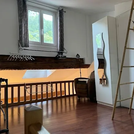 Duplex Quartier Historique Au Pied De La Bastille Apartment Grenoble
