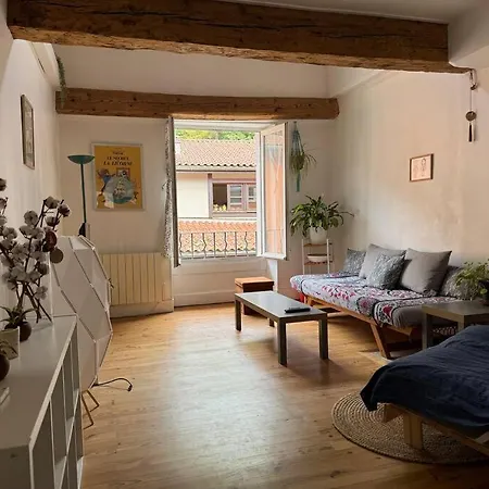 Duplex Quartier Historique Au Pied De La Bastille *