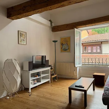 Duplex Quartier Historique Au Pied De La Bastille Grenoble